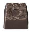 The Brownie